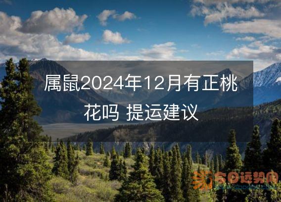 属鼠2025年12月有正桃花吗 提运建议