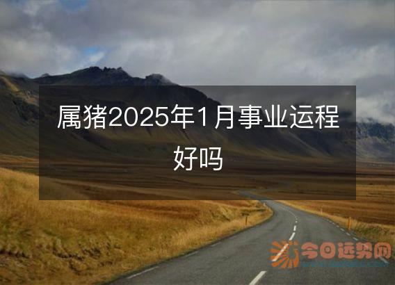 属猪2025年1月事业运程好吗