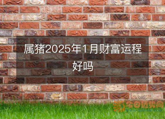 属猪2025年1月财富运程好吗
