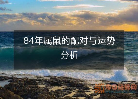 84年属鼠的配对与运势分析
