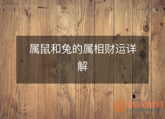 属鼠和兔的属相财运详解