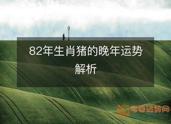 82年生肖猪的晚年运势解析