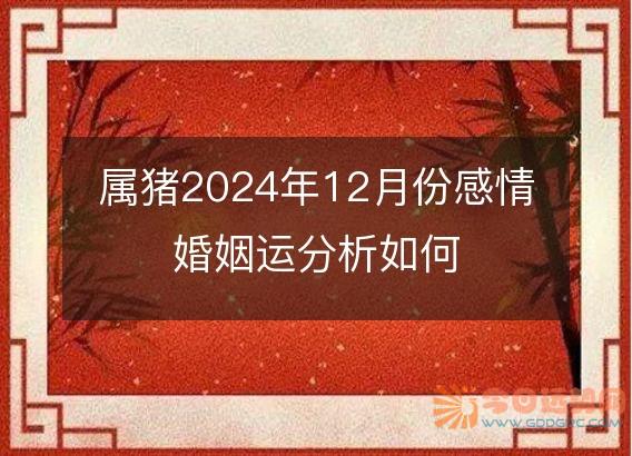 属猪2025年12月份感情婚姻运分析如何
