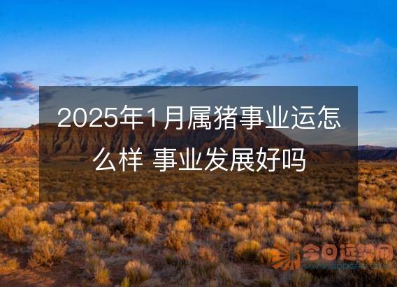 2025年1月属猪事业运怎么样 事业发展好吗