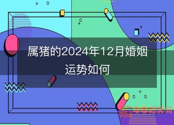 属猪的2025年12月婚姻运势如何
