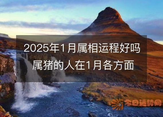 2025年1月属相运程好吗 属猪的人在1月各方面运势好吗