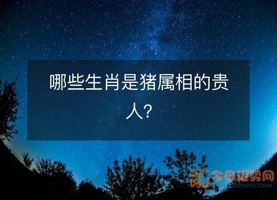 哪些生肖是猪属相的贵人?