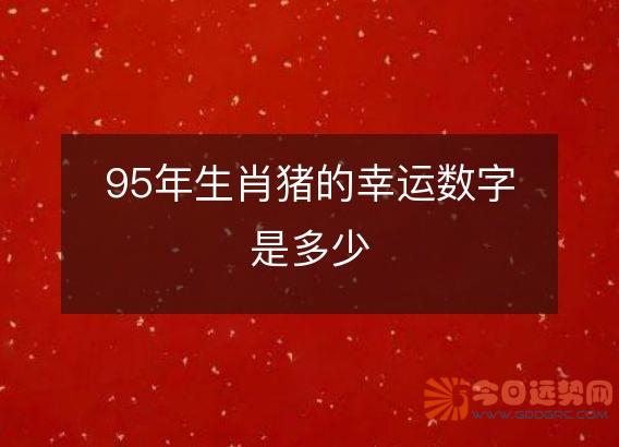 95年生肖猪的幸运数字是多少