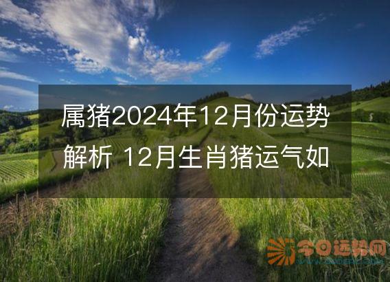 属猪2025年12月份运势解析 12月生肖猪运气如何