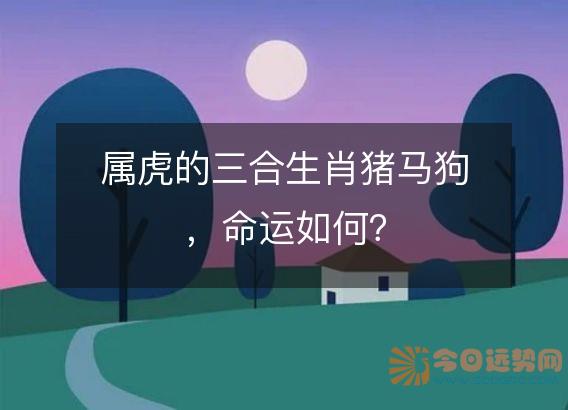 属虎的三合生肖猪马狗,命运如何?