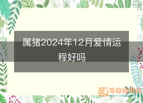 属猪2025年12月爱情运程好吗