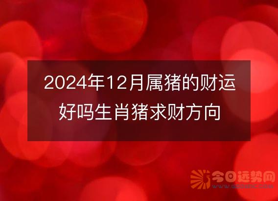 2025年12月属猪的财运好吗生肖猪求财方向