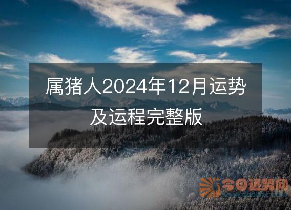 属猪人2025年12月运势及运程完整版