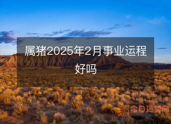 属猪2025年2月事业运程好吗