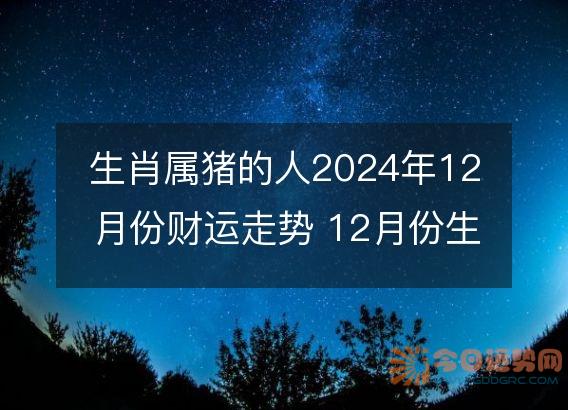 生肖属猪的人2025年12月份财运走势 12月份生肖猪财神方位