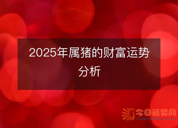 2025年属猪的财富运势分析