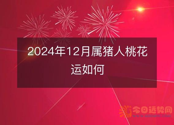 2025年12月属猪人桃花运如何