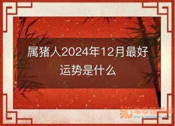 属猪人2025年12月最好运势是什么