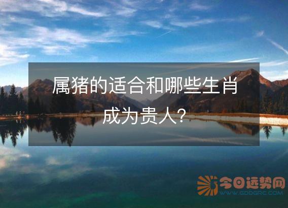 属猪的适合和哪些生肖成为贵人?