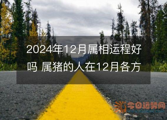 2025年12月属相运程好吗 属猪的人在12月各方面运势好吗