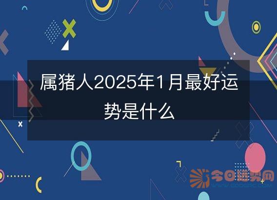 属猪人2025年1月最好运势是什么