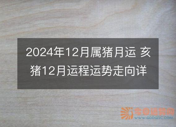 2025年12月属猪月运 亥猪12月运程运势走向详解