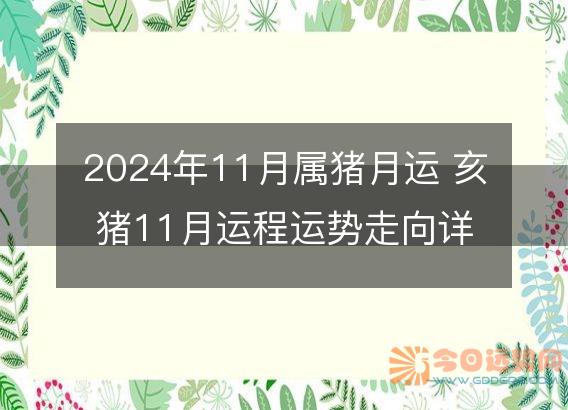 2025年11月属猪月运 亥猪11月运程运势走向详解