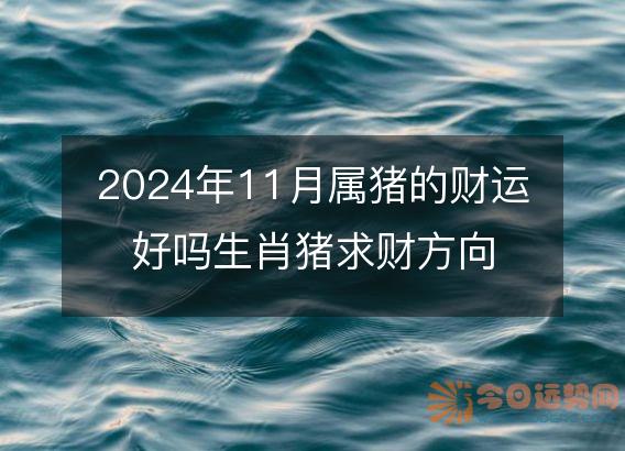 2025年11月属猪的财运好吗生肖猪求财方向
