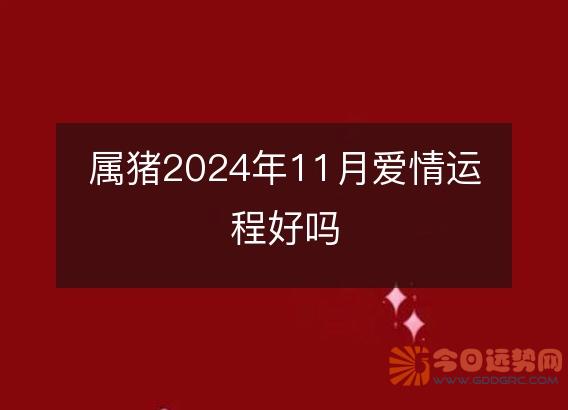 属猪2025年11月爱情运程好吗