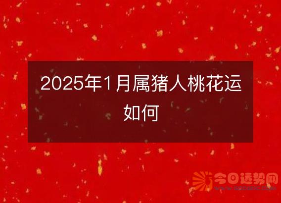2025年1月属猪人桃花运如何