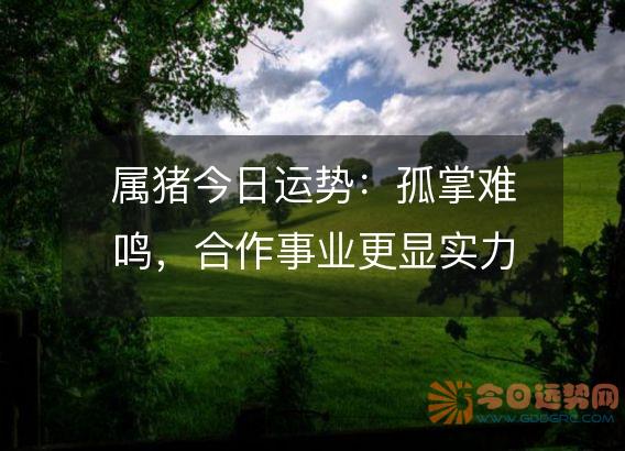 属猪今日运势:孤掌难鸣,合作事业更显实力