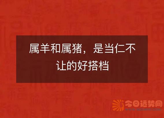 属羊和属猪，是当仁不让的好搭档