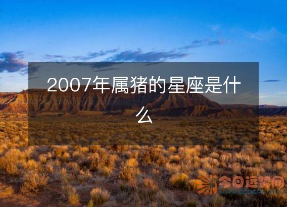 2007年属猪的星座是什么