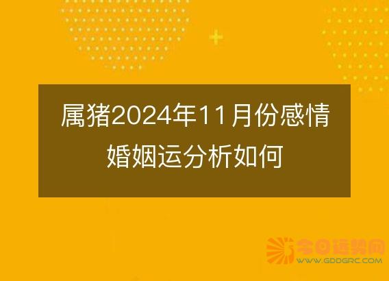 属猪2025年11月份感情婚姻运分析如何