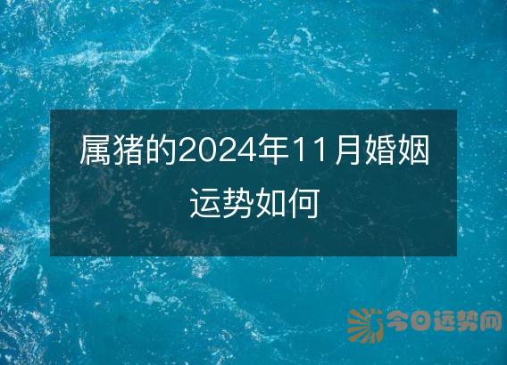 属猪的2025年11月婚姻运势如何