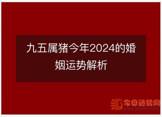 九五属猪今年2024的婚姻运势解析