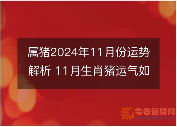 属猪2025年11月份运势解析 11月生肖猪运气如何