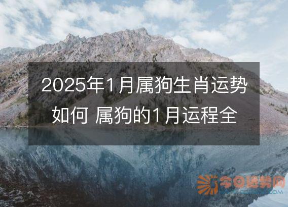 2025年1月属狗生肖运势如何 属狗的1月运程全面分解