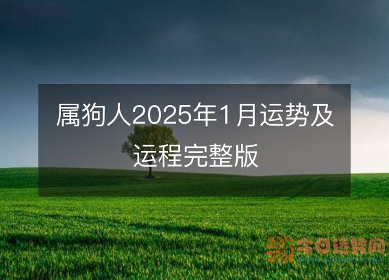 属狗人2025年1月运势及运程完整版