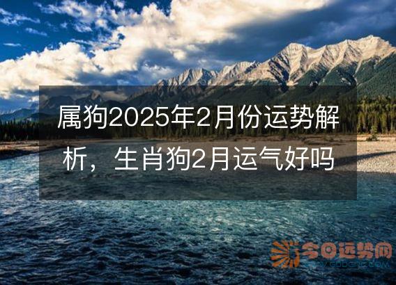 属狗2025年2月份运势解析,生肖狗2月运气好吗
