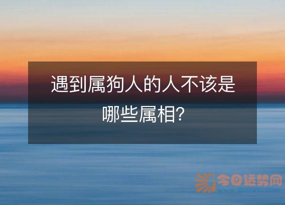 遇到属狗人的人不该是哪些属相?