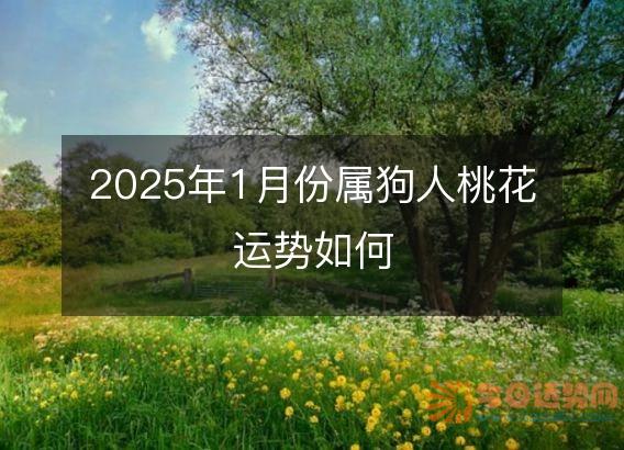 2025年1月份属狗人桃花运势如何