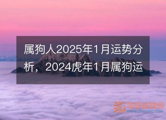 属狗人2025年1月运势分析,2024虎年1月属狗运程如何