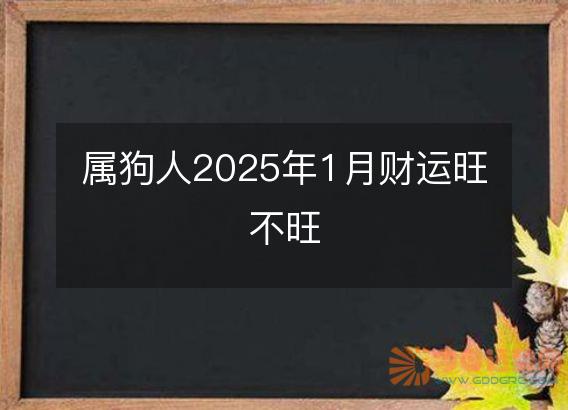 属狗人2025年1月财运旺不旺