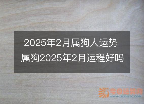 2025年2月属狗人运势 属狗2025年2月运程好吗