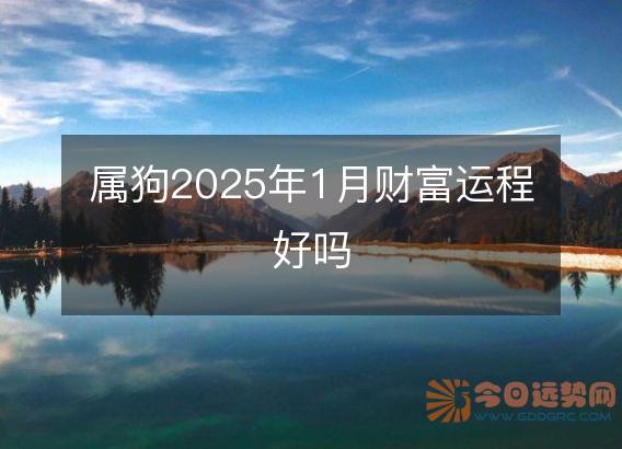 属狗2025年1月财富运程好吗
