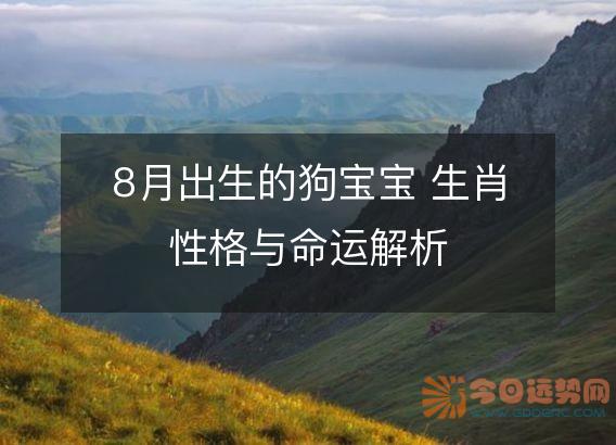 8月出生的狗宝宝 生肖性格与命运解析