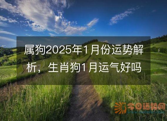 属狗2025年1月份运势解析,生肖狗1月运气好吗