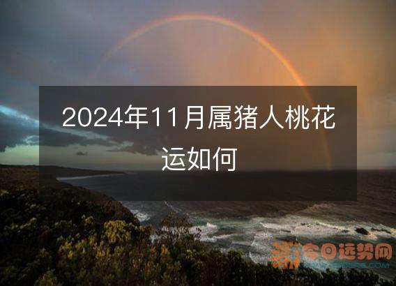 2025年11月属猪人桃花运如何
