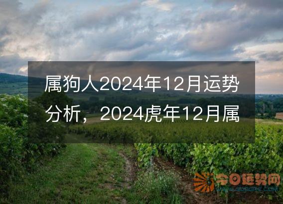 属狗人2025年12月运势分析,2024虎年12月属狗运程如何